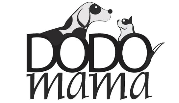 Dodo Mama 100₺ ve Üzeri Alışverişe 5₺ İndirim Kodu